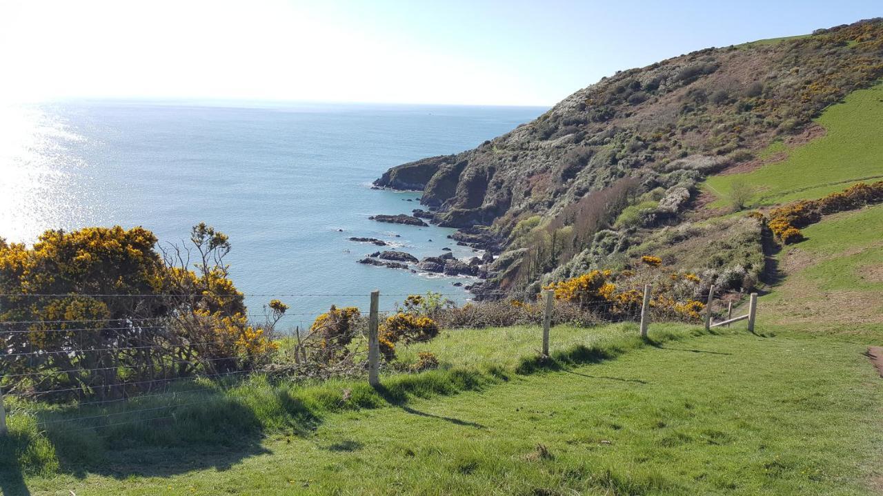 Marthys House With Hot Tub Looe Βίλα Εξωτερικό φωτογραφία